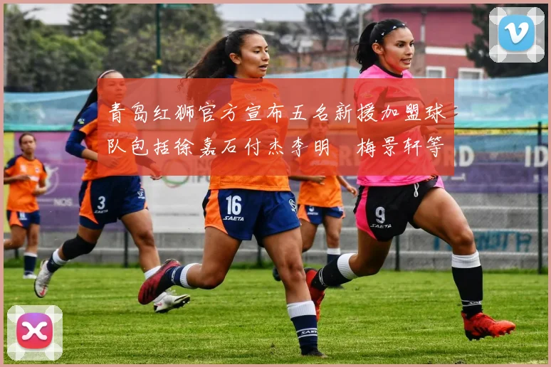 青岛红狮官方宣布五名新援加盟球队包括徐嘉石付杰李明璠梅景轩等球员