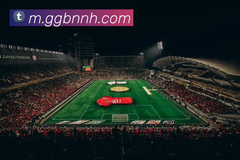 球速体育APP 封面图